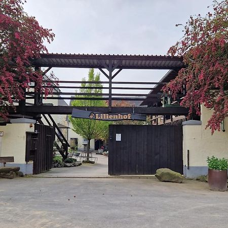 Moderne Ferienwohnung Black Beauty Auf Idyllischem Reiterhof Naehe Burg Eltz Munstermaifeld Bagian luar foto