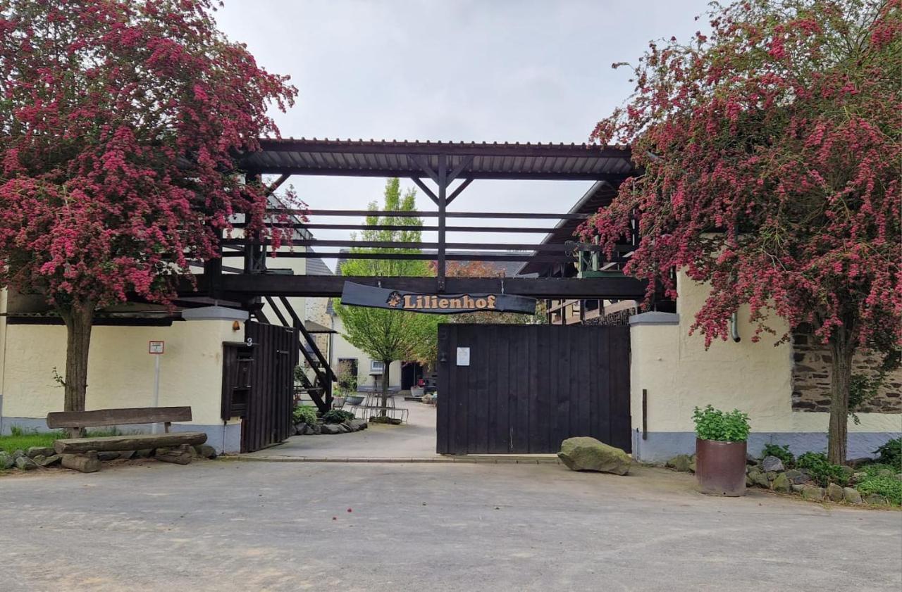 Moderne Ferienwohnung Black Beauty Auf Idyllischem Reiterhof Naehe Burg Eltz Munstermaifeld Bagian luar foto